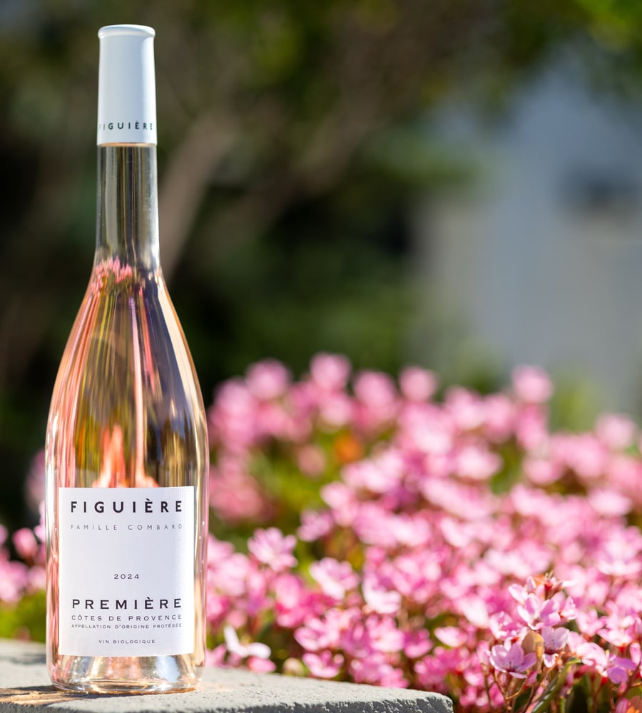 Première rosé 24